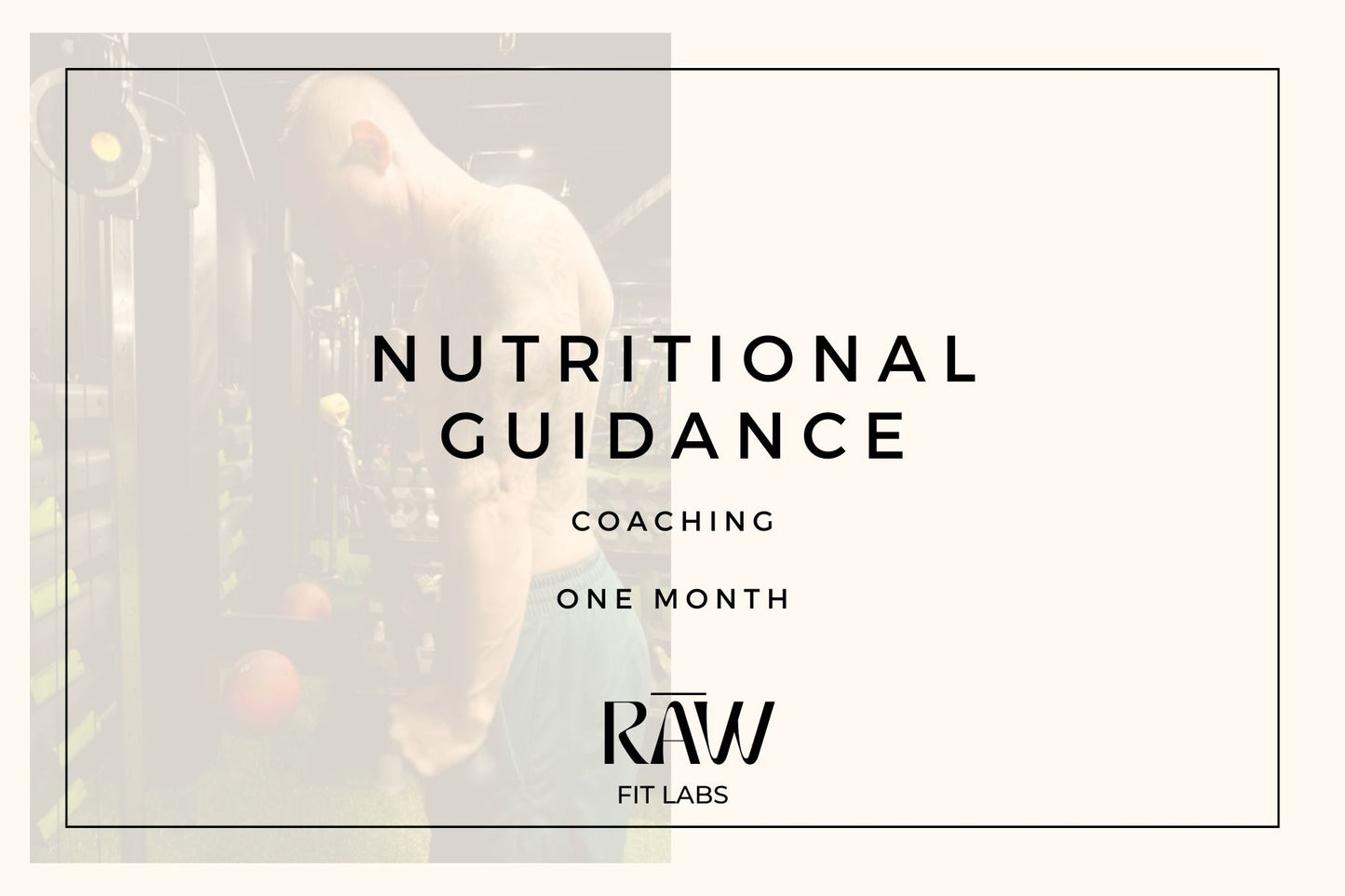 Nutrition Guidance & Meal Plan